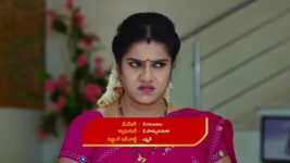 Paape Maa Jeevana Jyothi S01 E545 Gowri Prasad Demands Answers