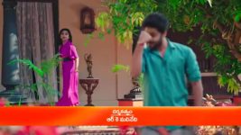 Padamati Sandhyaragam S01 E99 11th January 2023