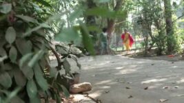 Rang Maza Vegla S01 E931 Ayesha Gets Caught