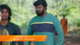 Sathya (Kannada) S01 E565 30th January 2023