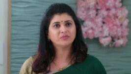 Trinayani (Kannada) S01 E618 11th January 2023