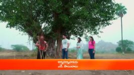 Trinayani (Telugu) S01 E830 21st January 2023