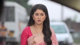 Nabab Nandini S01 E150 Nandini to Leave Nabab?