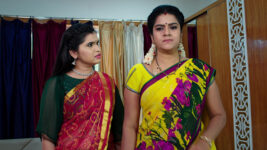 Paape Maa Jeevana Jyothi S01 E529 Indumathi, Yamini's Wicked Plan