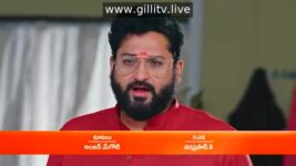 Padamati Sandhyaragam S01 E117 1st February 2023