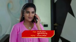 Pallakilo Pellikuturu S01 E105 Subhashini's Evil Plan