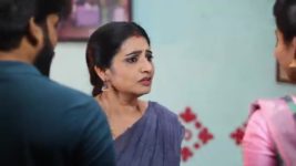 Pandian Stores S01 E1101 Dhanam Feels Content