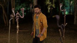 Ponchomi S01 E13 Can Ponchomi Save Kinjal?