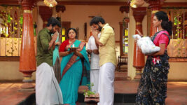 Raja Rani S02 E570 Saravanan's Election Day