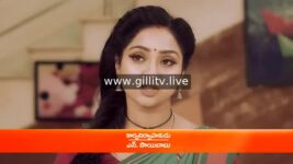 Trinayani (Telugu) S01 E817 6th January 2023