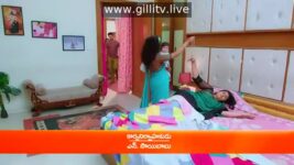 Trinayani (Telugu) S01 E832 24th January 2023