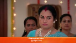 Karthigai Deepam S01 E55 8th February 2023