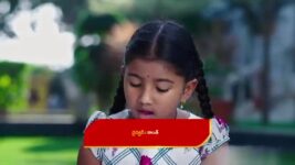 Paape Maa Jeevana Jyothi S01 E556 Priya, Kutti Meet Jyothi