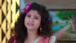 Trinayani (Kannada) S01 E637 2nd February 2023