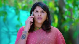 Trinayani (Telugu) S01 E859 24th February 2023