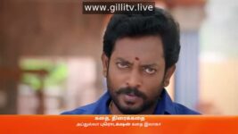 Amudhavum Annalakshmiyum S01 E180 4th February 2023