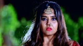 Naagini Telugu S01 E315 17th February 2023