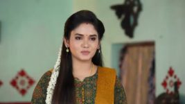 Pandian Stores S01 E1121 Aishwarya Irritates Meena