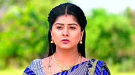 Vaidehi Parinayam S01 E541 20th February 2023