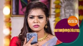 Vanathai Pola S01 E653 3rd February 2023