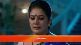 Ammayi Garu S01 E118 16th March 2023