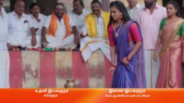 Amudhavum Annalakshmiyum S01 E207 8th March 2023