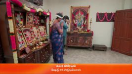 Karthigai Deepam S01 E100 30th March 2023