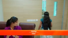 Trinayani (Telugu) S01 E874 14th March 2023