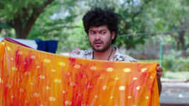 Avunu Valliddaru Istapaddaru S01 E67 Dilli's Plan Goes for a Toss