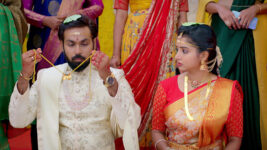 Brahma Mudi S01 E37 Raj, Kavya Tie the Knot