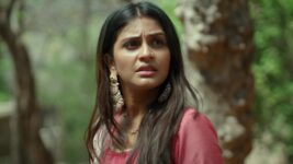 Imlie (Star Plus) S01 E771 Atharva, Dhairya Lose Imlie