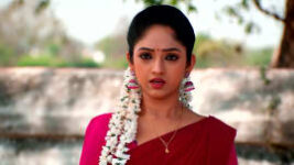 Ninaithale Inikkum S01 E485 8th March 2023