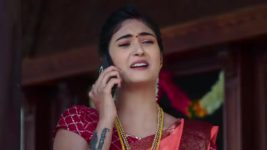 Pallakilo Pellikuturu S01 E153 Raghava Discovers the Truth