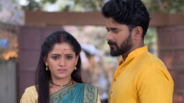 Pinkicha Vijay Aso S01 E359 Yuvraj, Pinky's First Holi