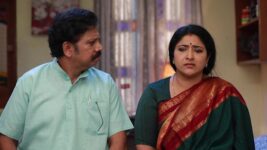 Raja Rani S02 E623 Sivagami Is Anxious