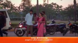 Amudhavum Annalakshmiyum S01 E239 15th April 2023