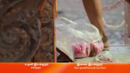 Amudhavum Annalakshmiyum S01 E245 18th April 2023