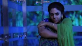 Eeramaana Rojaave S02 E333 Ramya to Take Revenge?