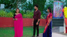 Malli Nindu Jabili S01 E339 What Is Malli Upto?