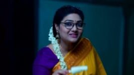 Seetha Ramam S01 E49 17th April 2023