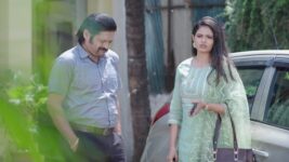 Tharala Tar Mag S01 E117 Priya's New Strategy