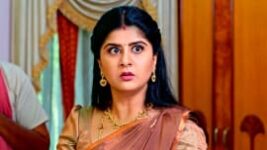 Vaidehi Parinayam S01 E577 3rd April 2023