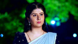 Vaidehi Parinayam S01 E597 26th April 2023