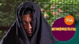 Vanathai Pola S01 E714 17th April 2023