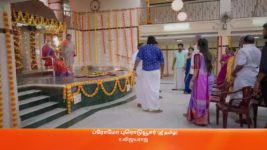 Amudhavum Annalakshmiyum S01 E282 31st May 2023