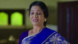 Avunu Valliddaru Istapaddaru S01 E100 Devaki, Chitti Are Elated