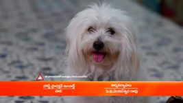 Chiranjeevi Lakshmi Sowbhagyavati S01 E104 9th May 2023