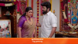 Karthigai Deepam S01 E150 30th May 2023