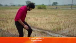 Maari S01 E258 26th May 2023