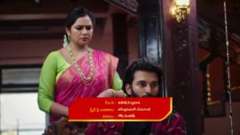 Naga Panchami (Star Maa) S01 E32 Nageswari Is Determined